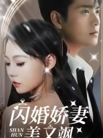 闪婚娇妻美又飒