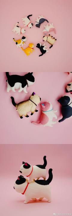 mini-三花-资料图