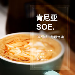 肯尼亚SOE 咖啡豆