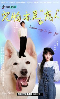 宠物亦是“恋人”