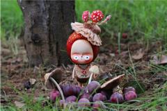 【红蘑菇森林】小红菇-资料图