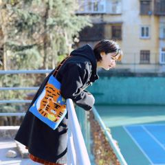 发财虎毛线针织挎包-资料图