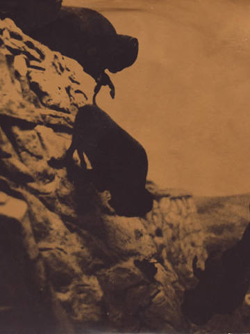 One