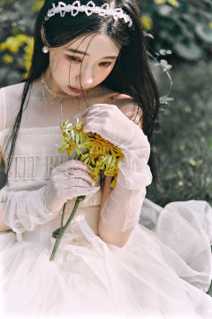 宝石芭蕾-资料图