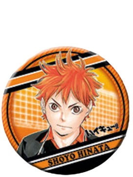 日向翔阳-原画第一弹吧唧