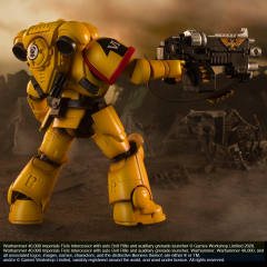 原铸星际战士 Imperial Fists-资料图