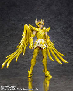 D.D. Panoramation 星矢套装