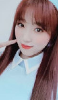 Violeta专卡6 ver.A