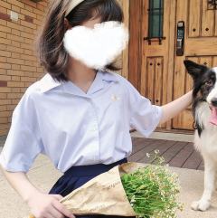 盛夏·衬衫-资料图