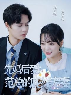 先婚后爱，范总的花样宠妻