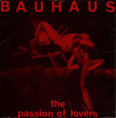 The Passion Of Lovers