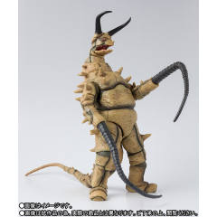 SHF 古敦-资料图