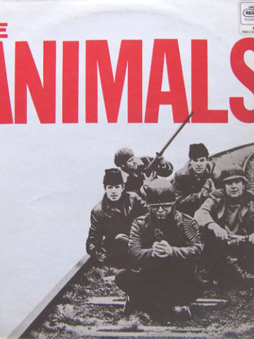 The Animals