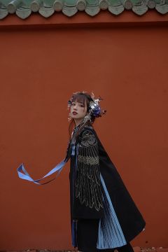 鹤羽-资料图