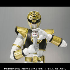 SHF 秋叶原连者-资料图