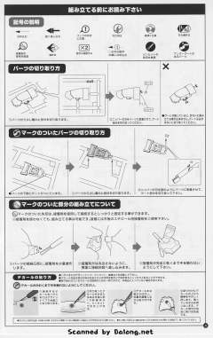 艾尔诺亚·卡缪尔-资料图