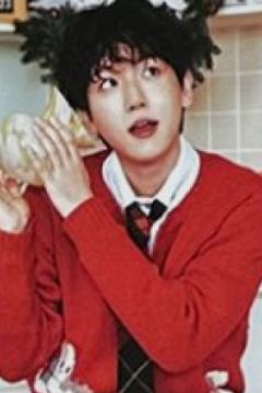 圣诞随机卡 官拍ver.J