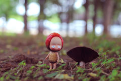 【红蘑菇森林】小红菇站姿小fengfeng