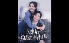 闪婚后总裁跪地唱征服