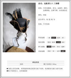 远航者 2.0-资料图