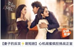 妻子的反攻2
