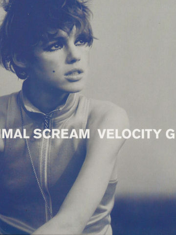 Velocity Girl