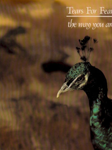 The Way You Are