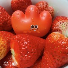 草莓-资料图