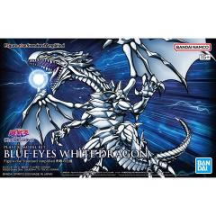 FRS Amplified 青眼白龙-资料图