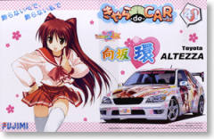 Itasha 向坂环