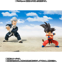 SHF 成龙-资料图