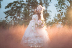 和平之春 Ver Placidum Mille fleur-资料图