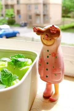 春日花宴-资料图