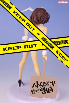 Metamo Figure 凉宫春日 Bunny ver.-资料图
