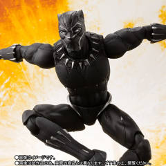 SHF 黑豹-资料图