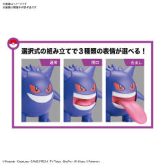 宝可梦拼装 特选系列 45 耿鬼 -资料图
