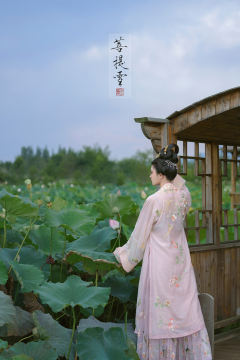 《浮生梦事》蔷薇粉-资料图