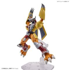 FRS 战斗暴龙兽-资料图