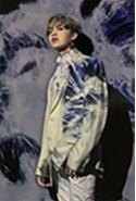 限定盘专卡5