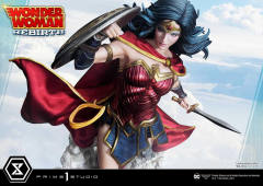 神奇女侠 Rebirth Edition-资料图