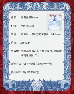 MINI冰白蔷薇Notte-资料图