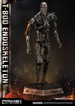 T-800 