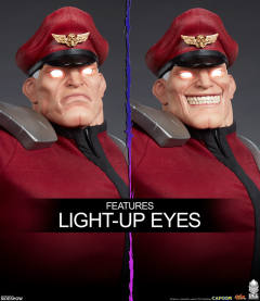 Mixed Media 维加 M. Bison-资料图