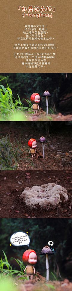 【红蘑菇森林】小红菇站姿小fengfeng-资料图