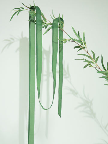 碧芙蕖