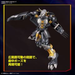 FRS 黑暗战斗暴龙兽-资料图
