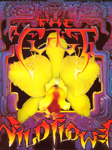 Wild Flower