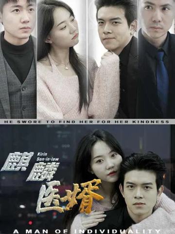 麒麟医婿