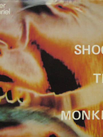 Shock The Monkey
