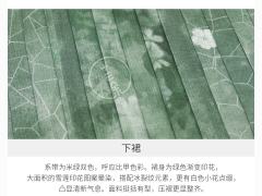 天山雪莲-资料图